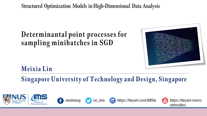 Meixia Lin - Determinantal point processes for sampling minibatches in SGD