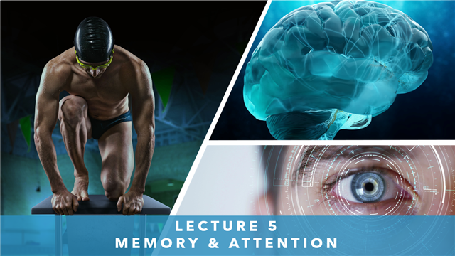 Lecture 5 - Memory & Attention