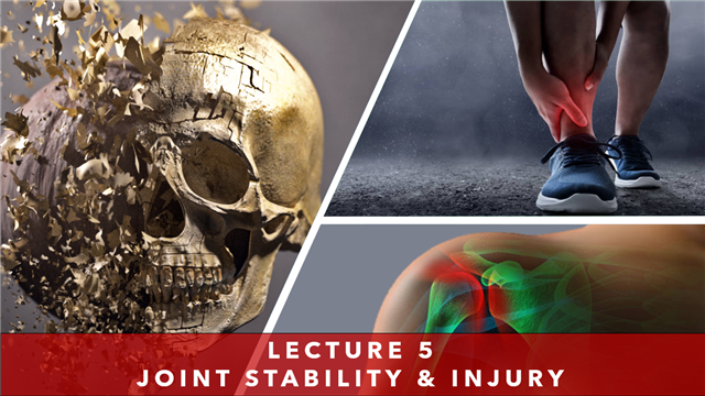 Lecture 5 - Joint Stability & Injury