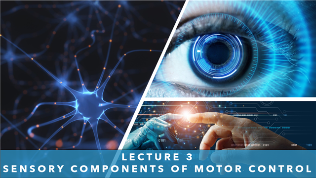 Lecture 3 - Sensory Components of Motor Control