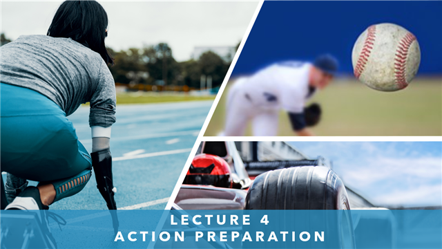 Lecture 4 - Action Preparation