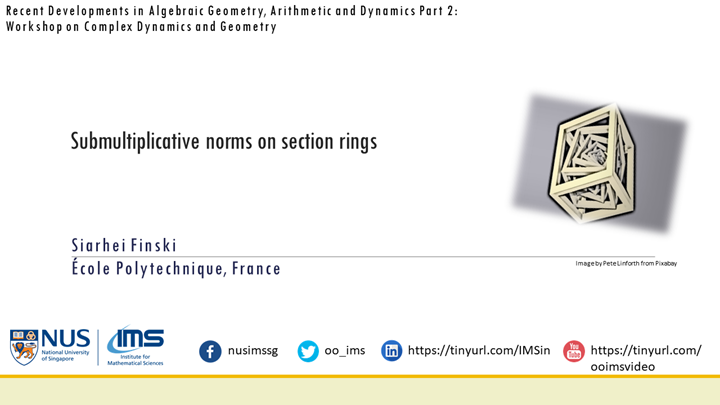Siarhei Finski - Submultiplicative norms on section rings